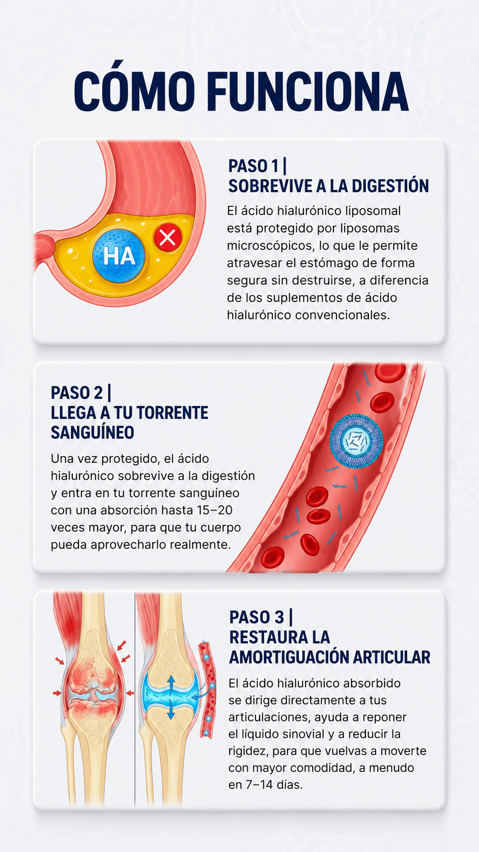Ácido Hialurónico PuraVida | Cuidá tu cuerpo desde adentro